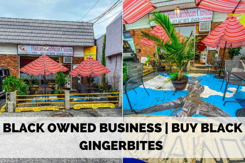 BLACK OWNED BUSINESS / RESTAURANT REVIEW | GINGERBITES