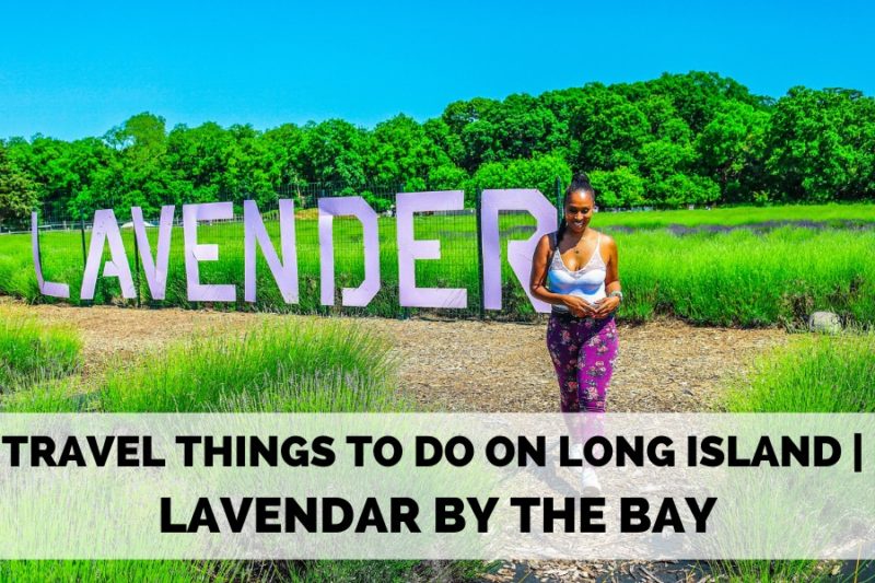 THINGS TO DO ON LONG ISLAND | LAVENDER BY THE BAY, EAST MARION FARM