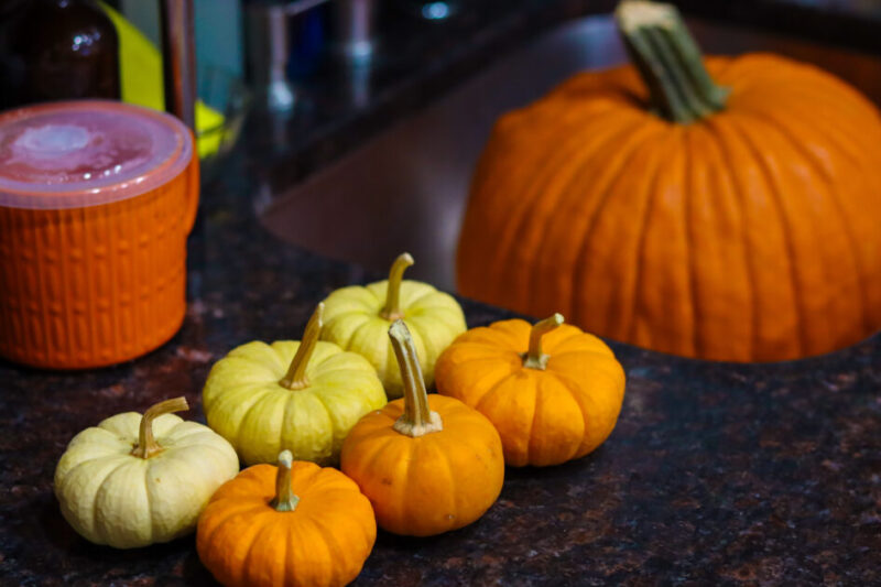 Fall Recipe | How to Make Pumpkin Puree